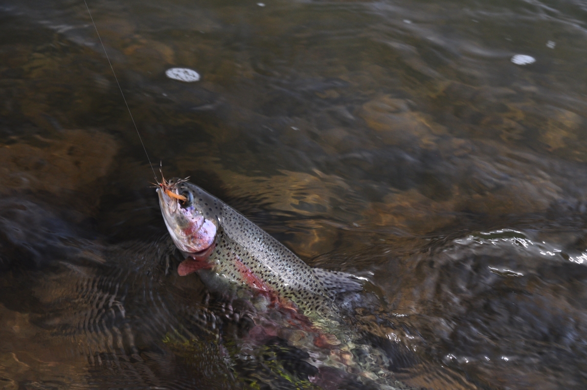 Deschutes